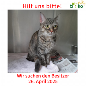 Fundtiere FB (40)